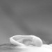 zuckerschote_babyfotografie__MG_1087 thumbnail