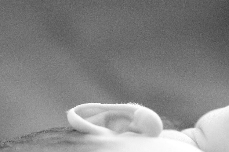 zuckerschote_babyfotografie__MG_1087