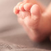 zuckerschote_babyfotografie__MG_0986 thumbnail