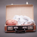 zuckerschote_babyfotografie__MG_2659 thumbnail