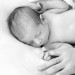 zuckerschote_babyfotografie__MG_1137 thumbnail